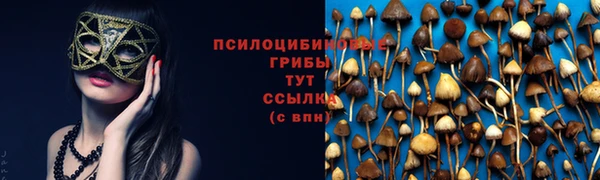 ПСИЛОЦИБИНОВЫЕ ГРИБЫ Краснотурьинск