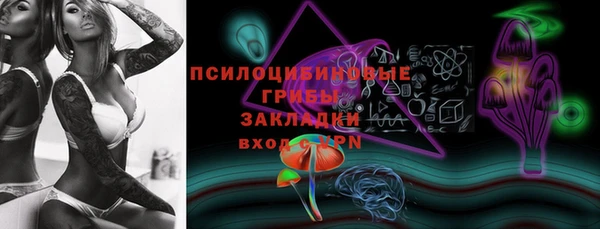 ALPHA PVP Краснослободск