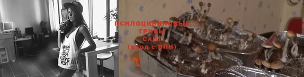 ПСИЛОЦИБИНОВЫЕ ГРИБЫ Краснотурьинск