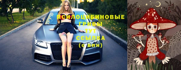 гашик Кулебаки