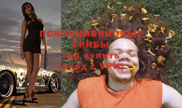 ПСИЛОЦИБИНОВЫЕ ГРИБЫ Краснотурьинск