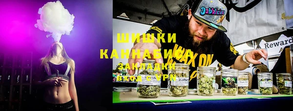 гашик Кулебаки